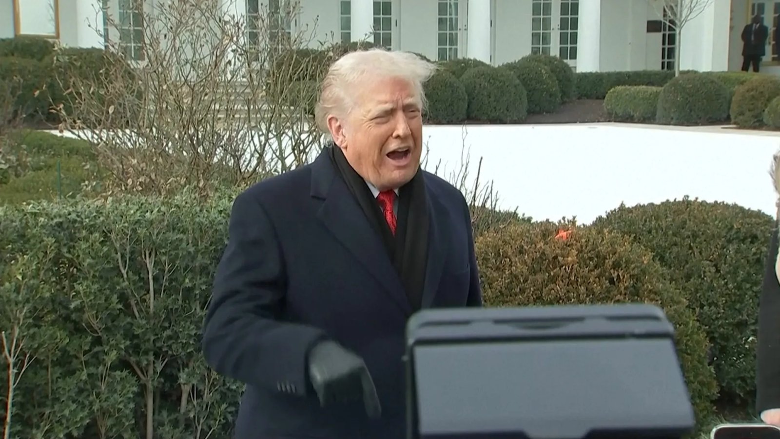 Donald Trump praises Iran for halting mass executions | Newsfeed