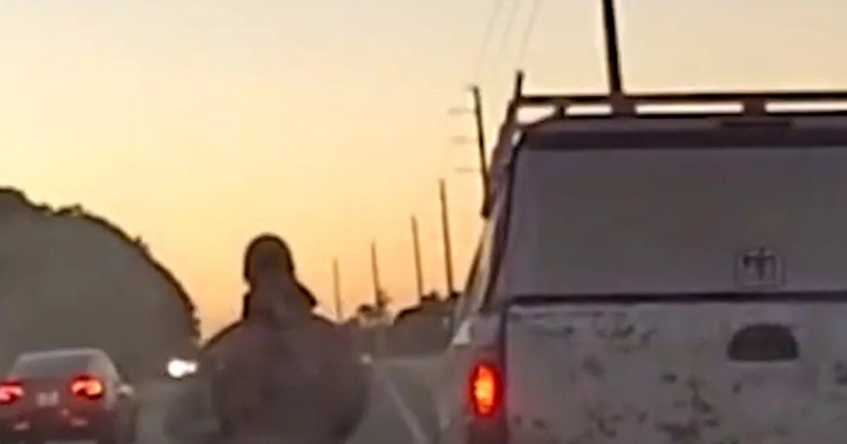 Traffic stop leads Florida police to missing child