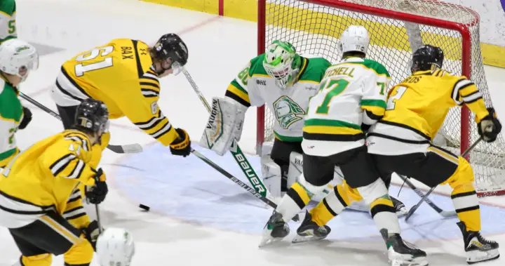 London Knights capture Battle of the 402 with 4-1 victory over the Sarnia Sting – London