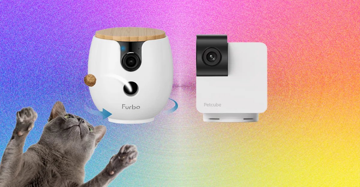 10 Best Pet Cameras (2026), Tested With Our Pets