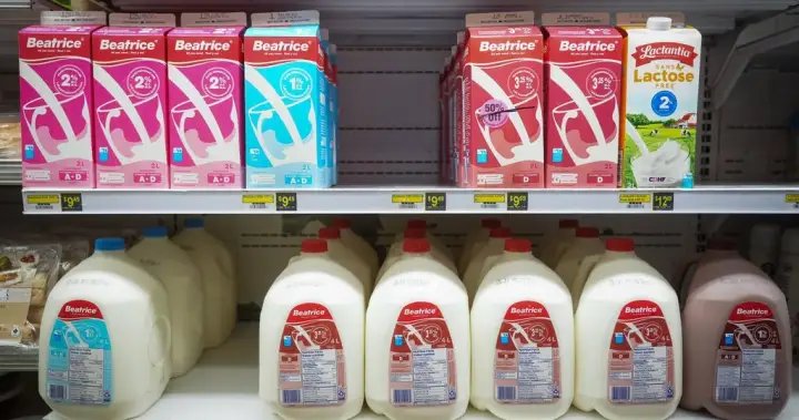 Grocers say they’re being squeezed by Manitoba milk-price freeze – Winnipeg