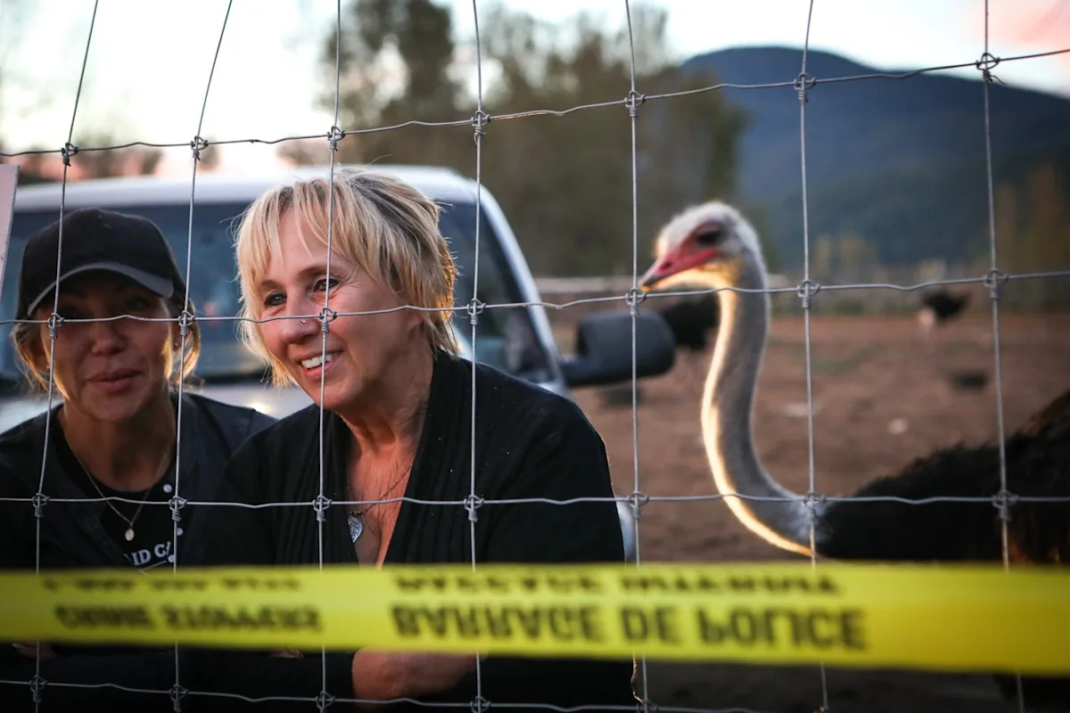Tribunal upholds $10K fine for B.C. ostrich farm over failure to report sick birds