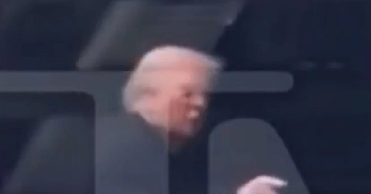 Trump appears to flip off protester in Detroit