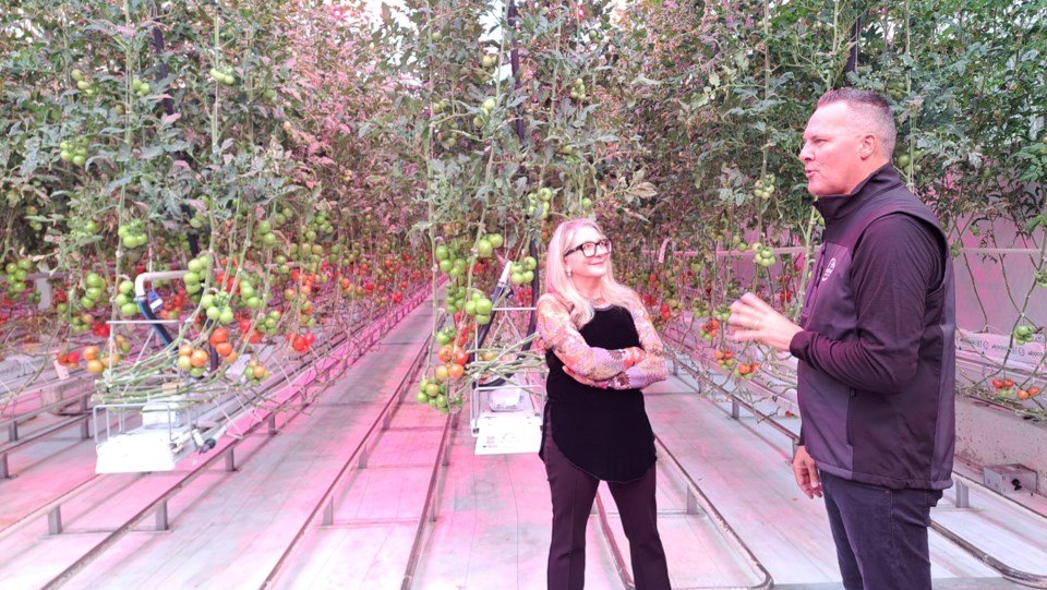 Delta's Windset Farms starting a smart farming concept