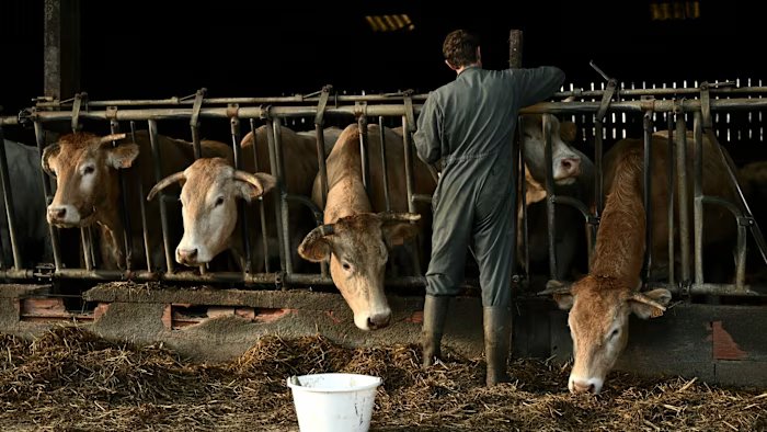 EU and Australia wrangle over food imports in push to seal trade pact