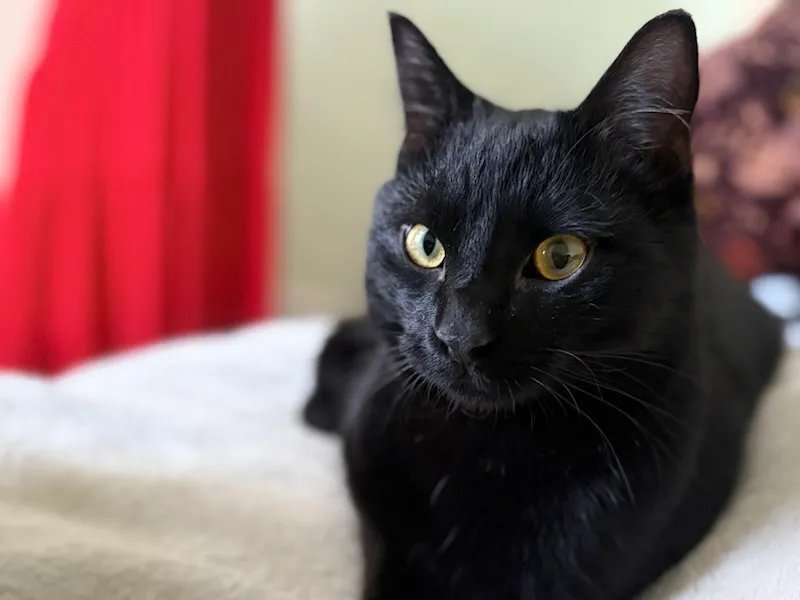 A New Dawn – centre of the universe