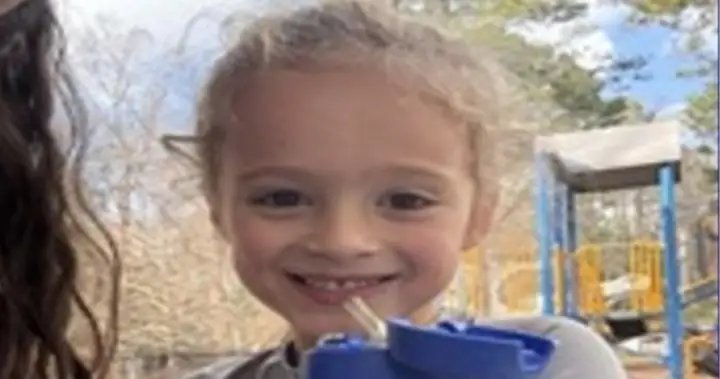 Search underway for 4-year-old Alabama boy last seen on New Year’s Eve – National