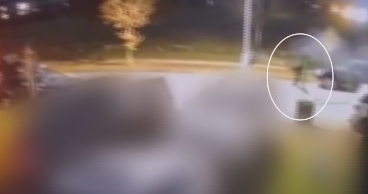 ‘It’s two worlds’: Bizarre Surrey shooting incident caught on video – BC
