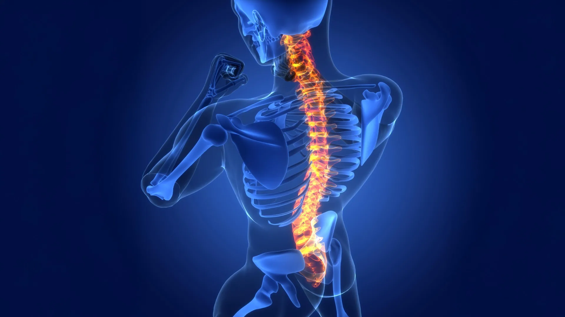 Scientists discover hidden brain cells that help heal spinal cord injuries