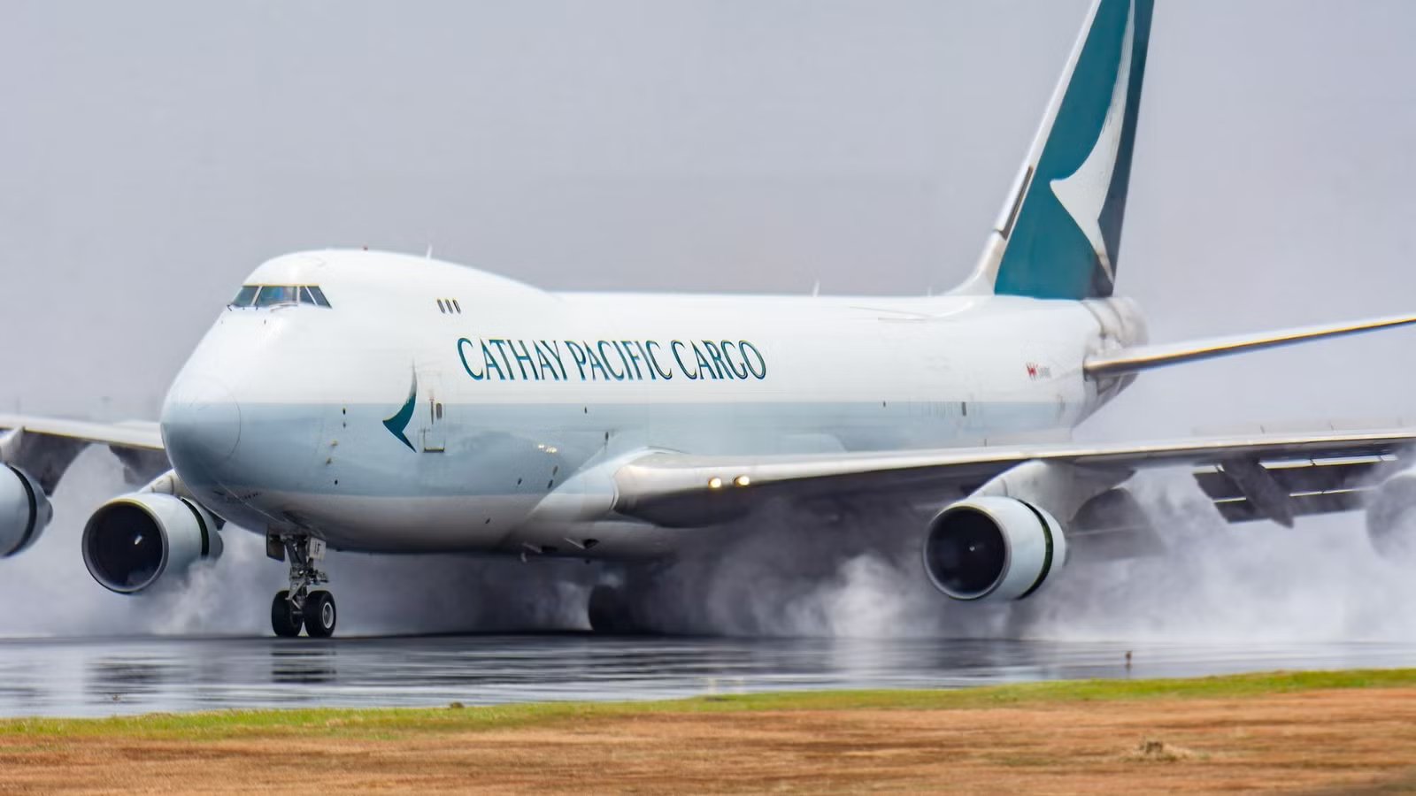 The Logistics Of Flying Elite Equines On A Cathay Cargo 747