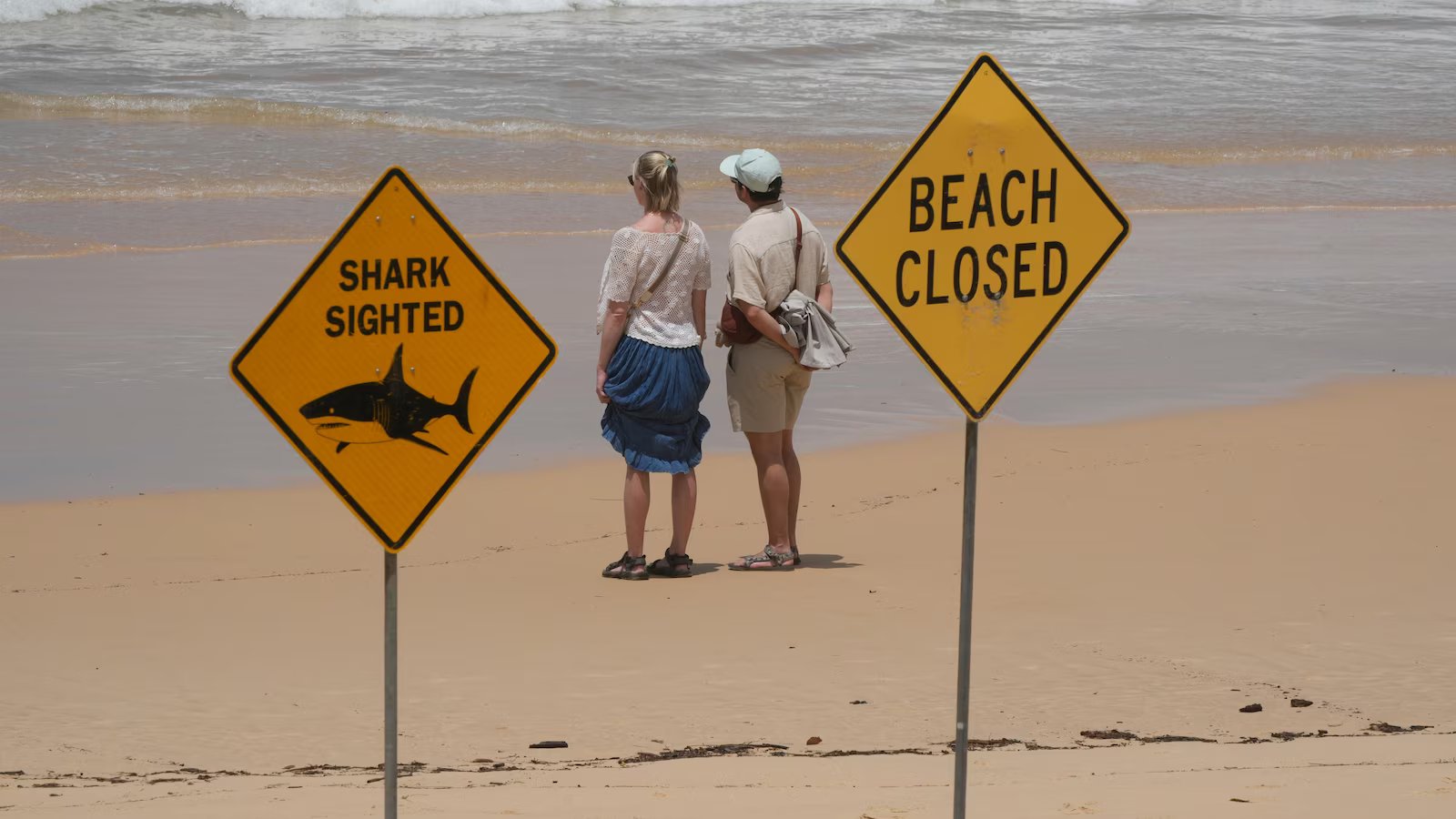 Surfer bitten in 4th shark attack off Australia’s east coast in 3 days