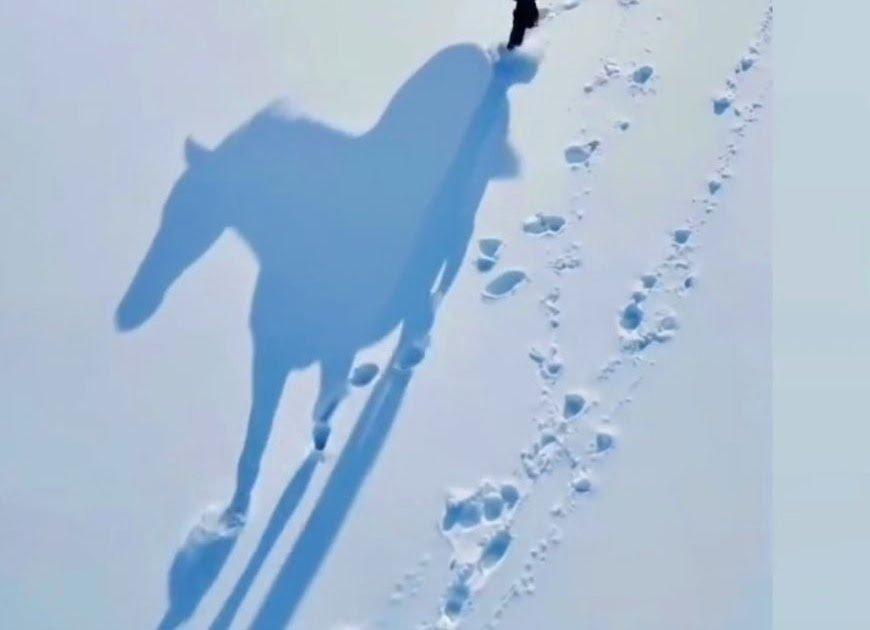 Cathie from Canada: Some happy to enjoy