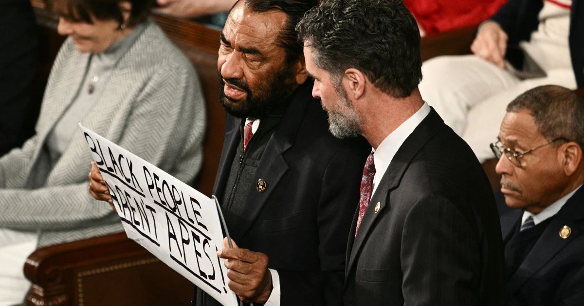Rep. Al Green ejected after holding ‘Black people aren’t apes’ sign