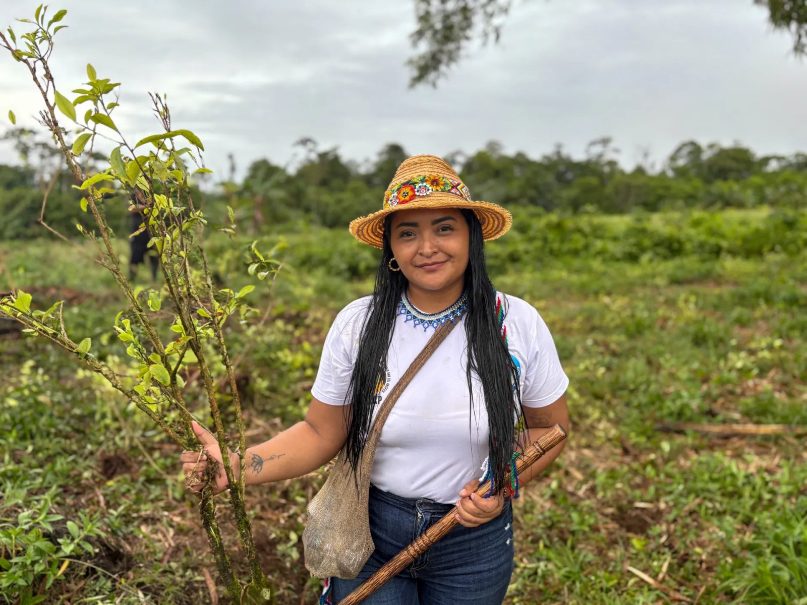 Trump and Petro clash over how best to uproot Colombia’s cocaine crops | Donald Trump News