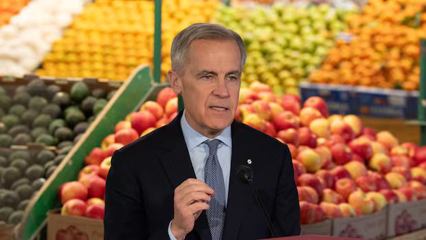 New federal grocery rebate will cost $12.4 billion, PBO estimates