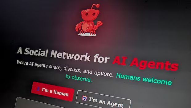 Moltbook claims to be a social network for AI bots. But humans are behind its rapid growth