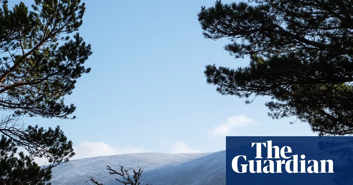 Wealthy use loophole to conceal value of £300m in Scottish land sales | Scotland