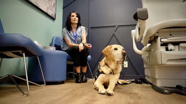 Central Alberta clinic pioneers ‘first-of-its-kind’ sexual assault care