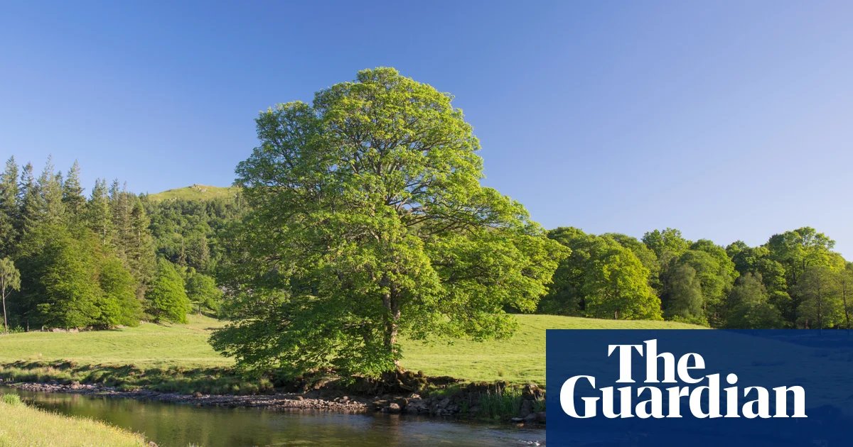 Race to find source of carcinogenic Pfas in Cumbria and Lancashire waters | Pfas