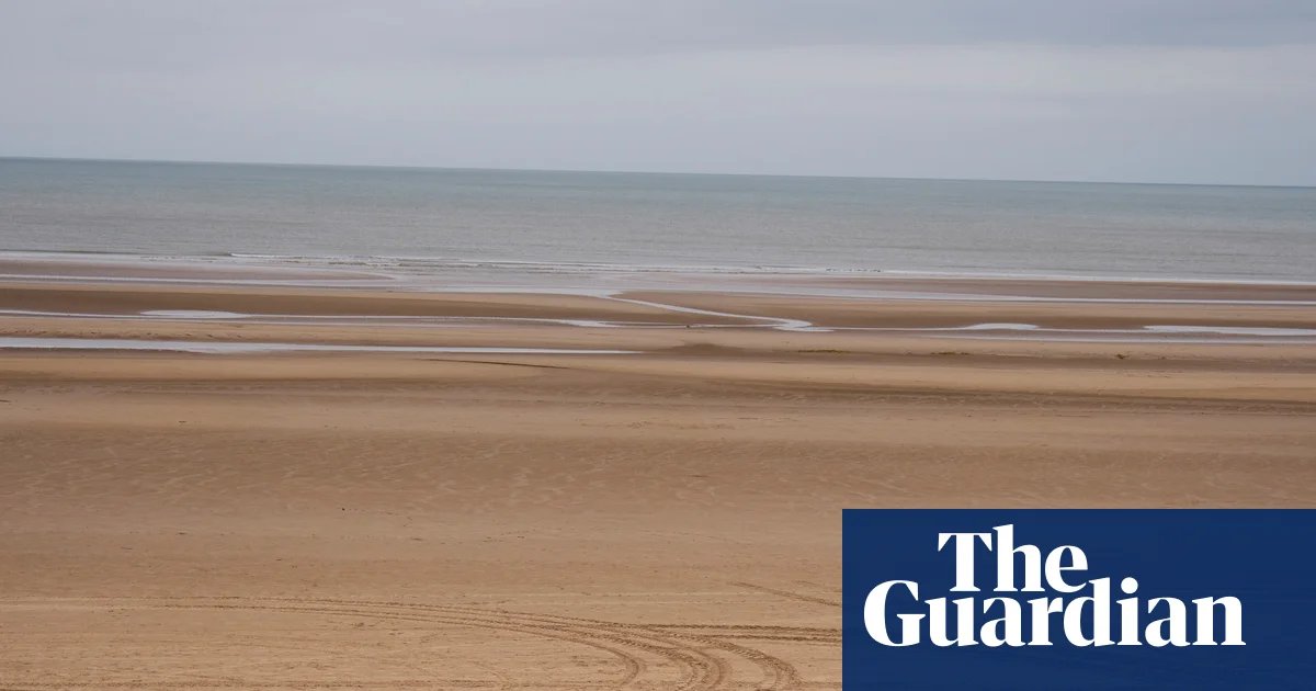 Tinsel to tidewall: discarded Christmas trees reused to protect Lancashire coastline | Coastlines