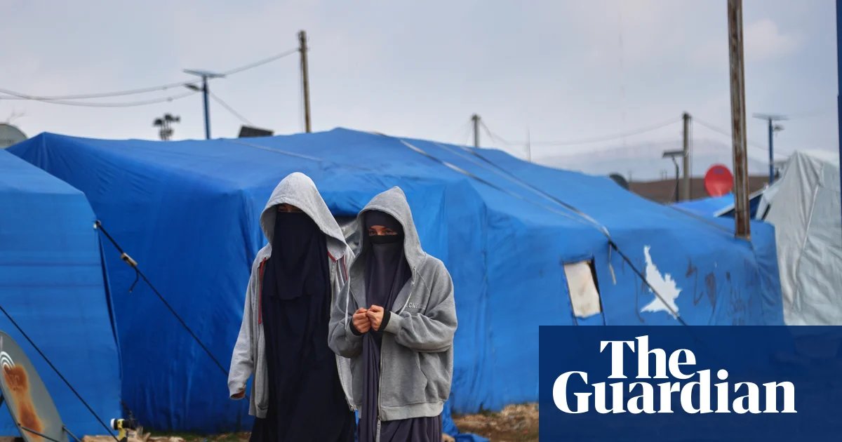 Tony Burke ‘taking advice’ from security agencies about Australian women and children in Syria seeking to return | Australian security and counter-terrorism