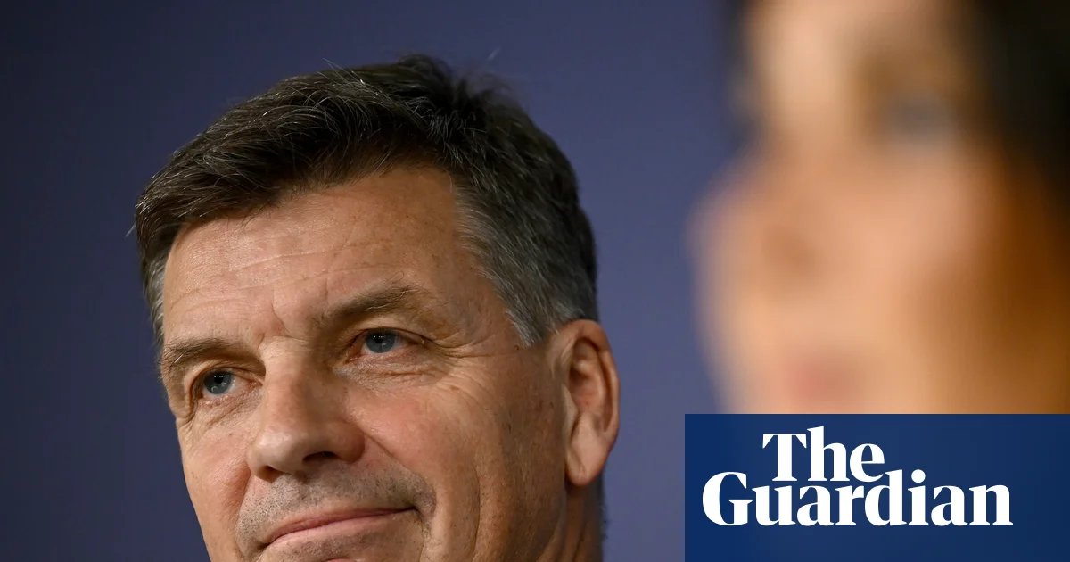Angus Taylor says his new frontbench will take the fight to Labor, but his biggest battle is to save the Liberal party | Liberal party