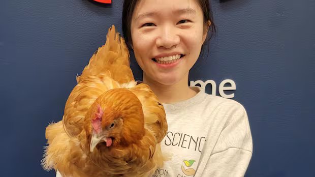 Emotional support chicken comforts B.C. researcher studying pets across cultures
