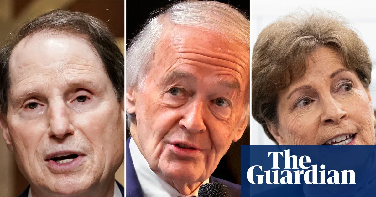 Senate Democrats call for government to start refunding $175bn in tariff money | Trump tariffs