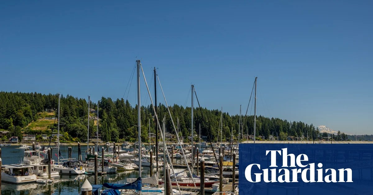 Man stabs four people to death in Washington state | Washington state