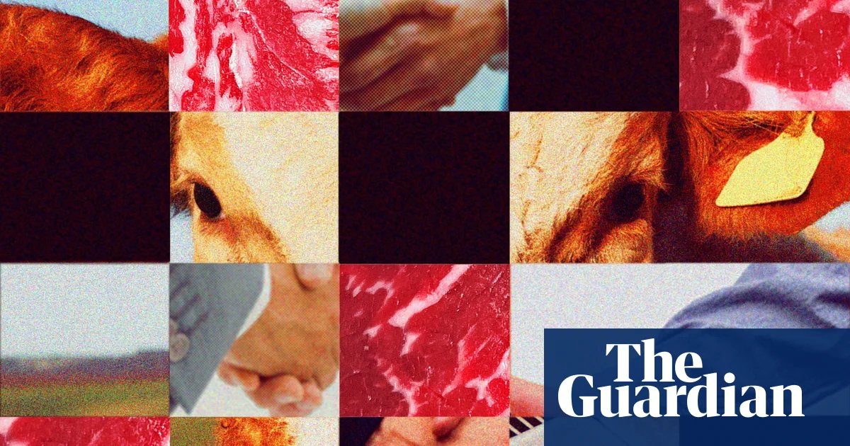 ‘Big Four’ meatpackers under fire as beef prices soar | US news