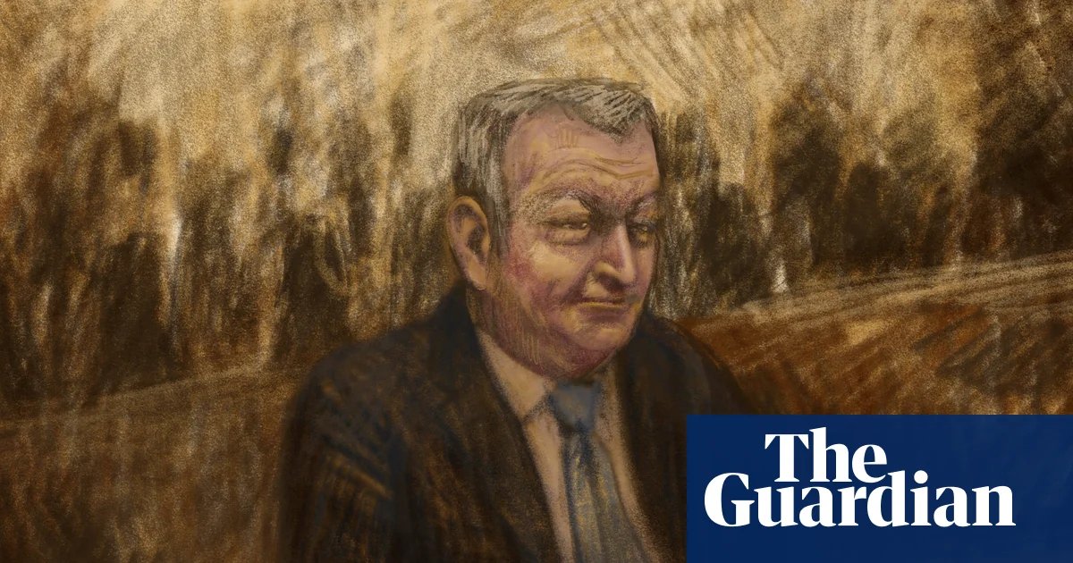 Accused killer Greg Lynn seeks bail to live with son as lawyers apply for permanent stay in case | Victoria