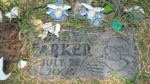 Brantford, Ont., police make arrest, lay charges 20 years after newborn’s body discovered on trail