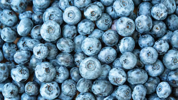 Frozen blueberries sold in Canada and U.S. recalled over listeria contamination risk, FDA says