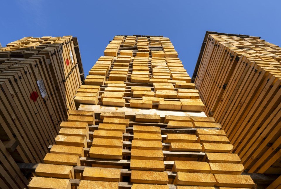 Canadian ends volatile 2025 with a contraction in Q4: StatCan