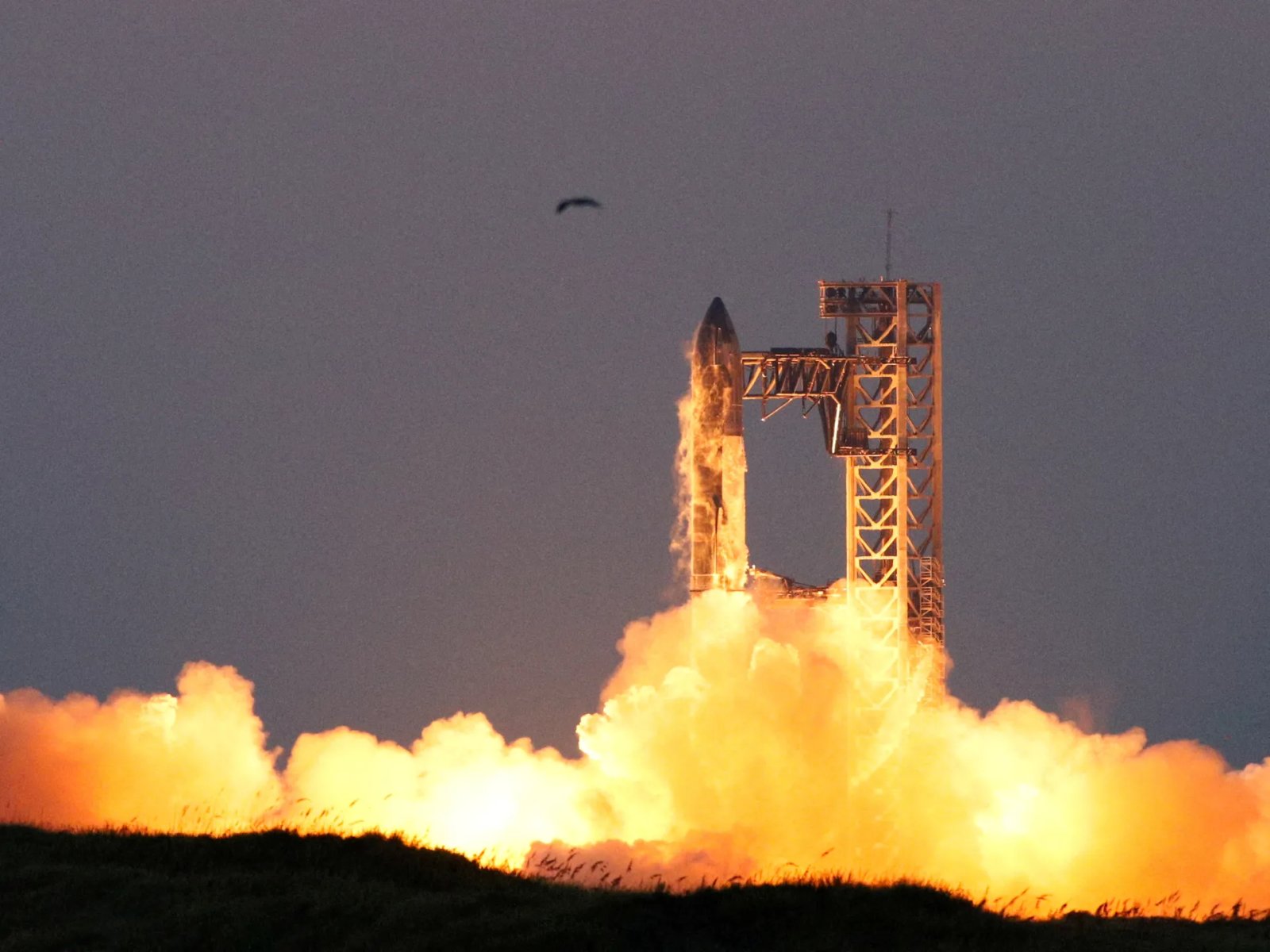 Musk merges SpaceX and xAI firms, plans for space-based AI data centres | Elon Musk News