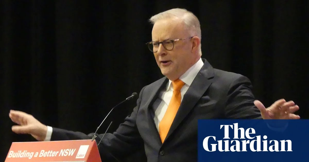 Anthony Albanese taunts new Liberal leaders in first comments since Sussan Ley’s ousting | Australian politics