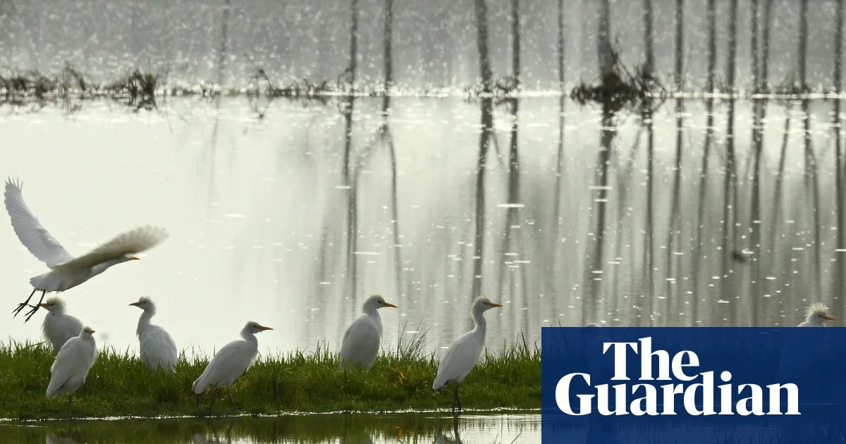 Weather tracker: Early taste of spring to sweep parts of Europe | Environment