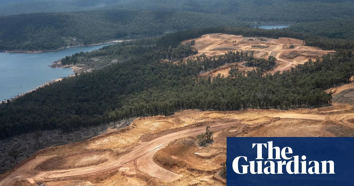 Australia-US minerals deal underpinned decision to allow Alcoa to keep clearing WA forest, document reveals | Western Australia