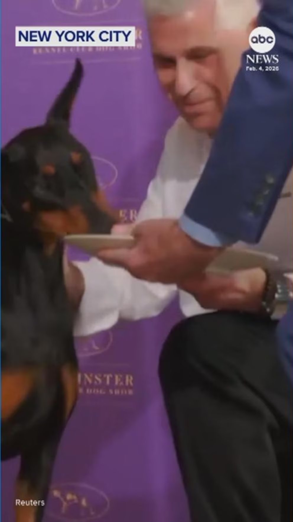 WATCH:  Westminster Dog Show winner Penny enjoys gourmet meal