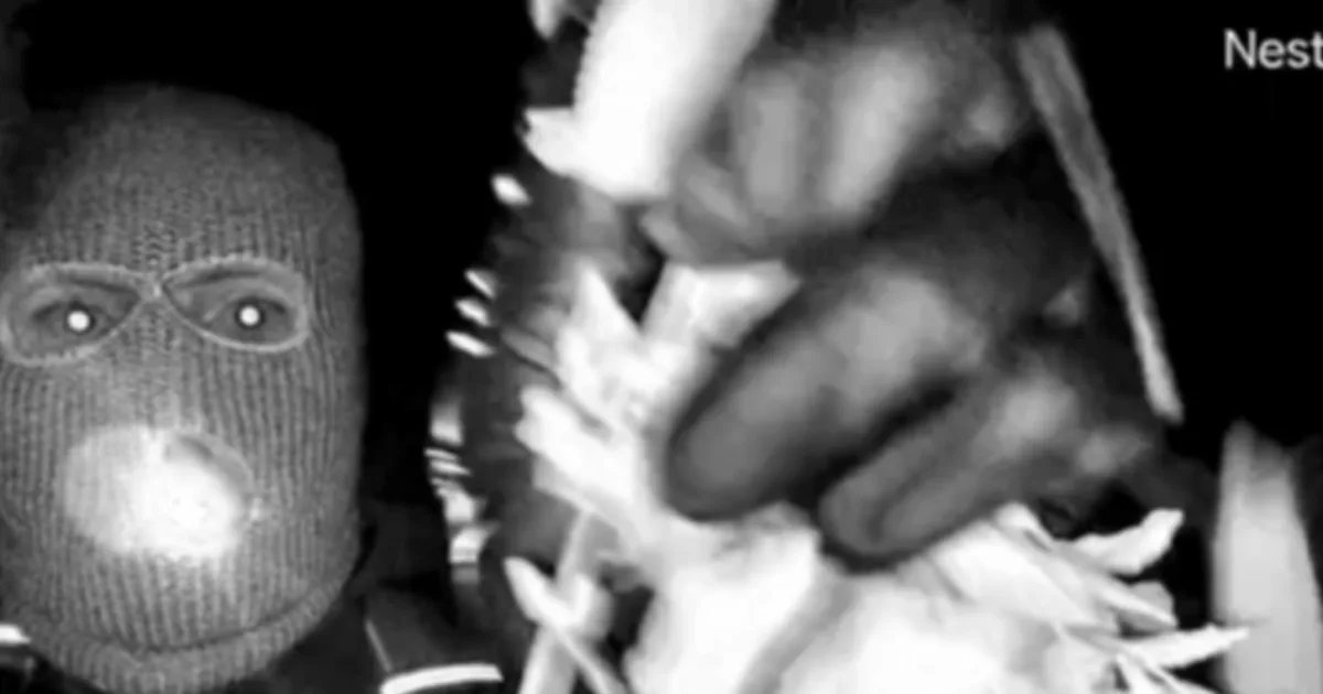 Investigators wrangled video from Nancy Guthrie’s Google Nest camera out of ‘backend systems’