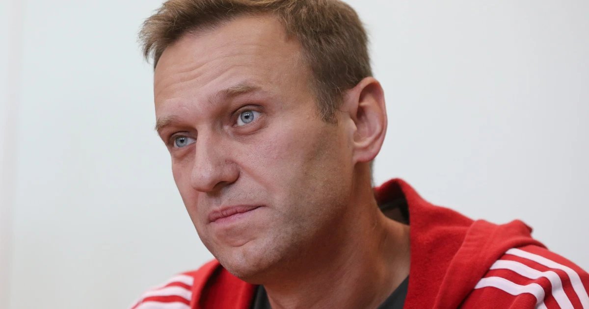 Russian opposition leader Alexei Navalny was poisoned by deadly ‘dart frog’ toxin, Europeans say