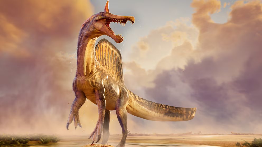 WATCH:  Scientists discover new dinosaur species roughly the size of a T-Rex