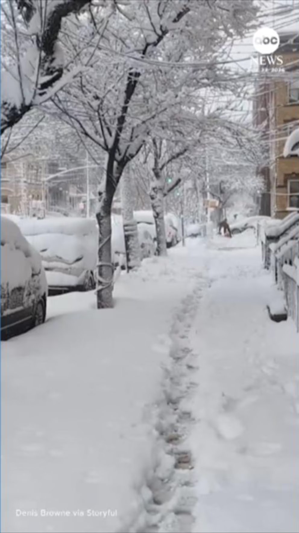 WATCH:  Fresh snow blankets Northeast after blizzard
