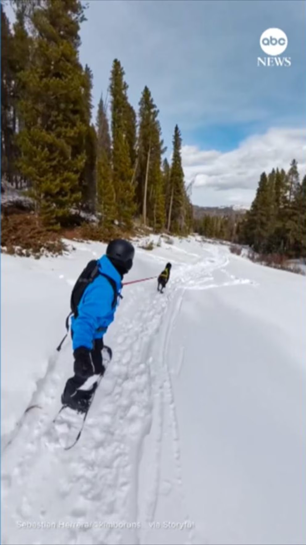 WATCH:  Colorado snowboarder doesn’t need much slope with this dog around