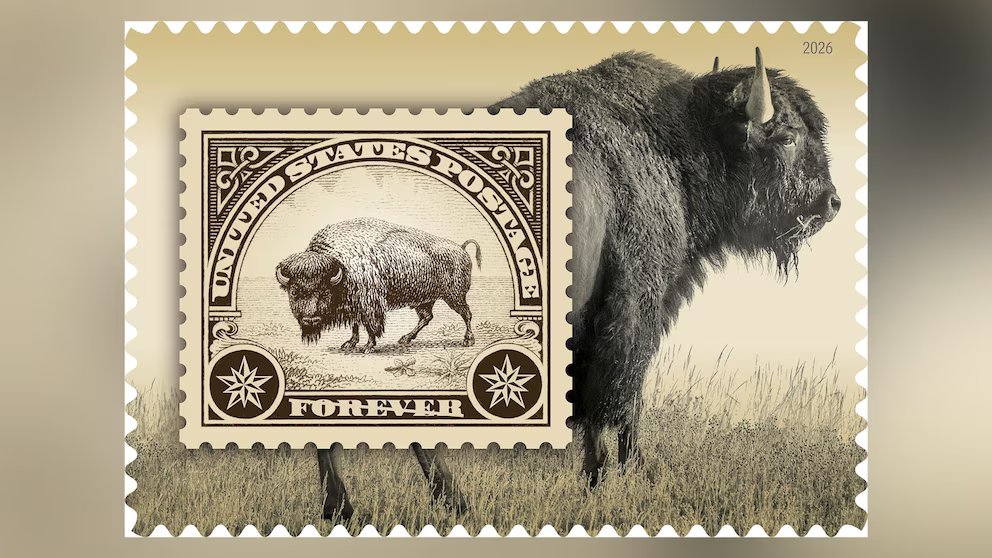 WATCH:  Upcoming US postage stamp features Yellowstone bison