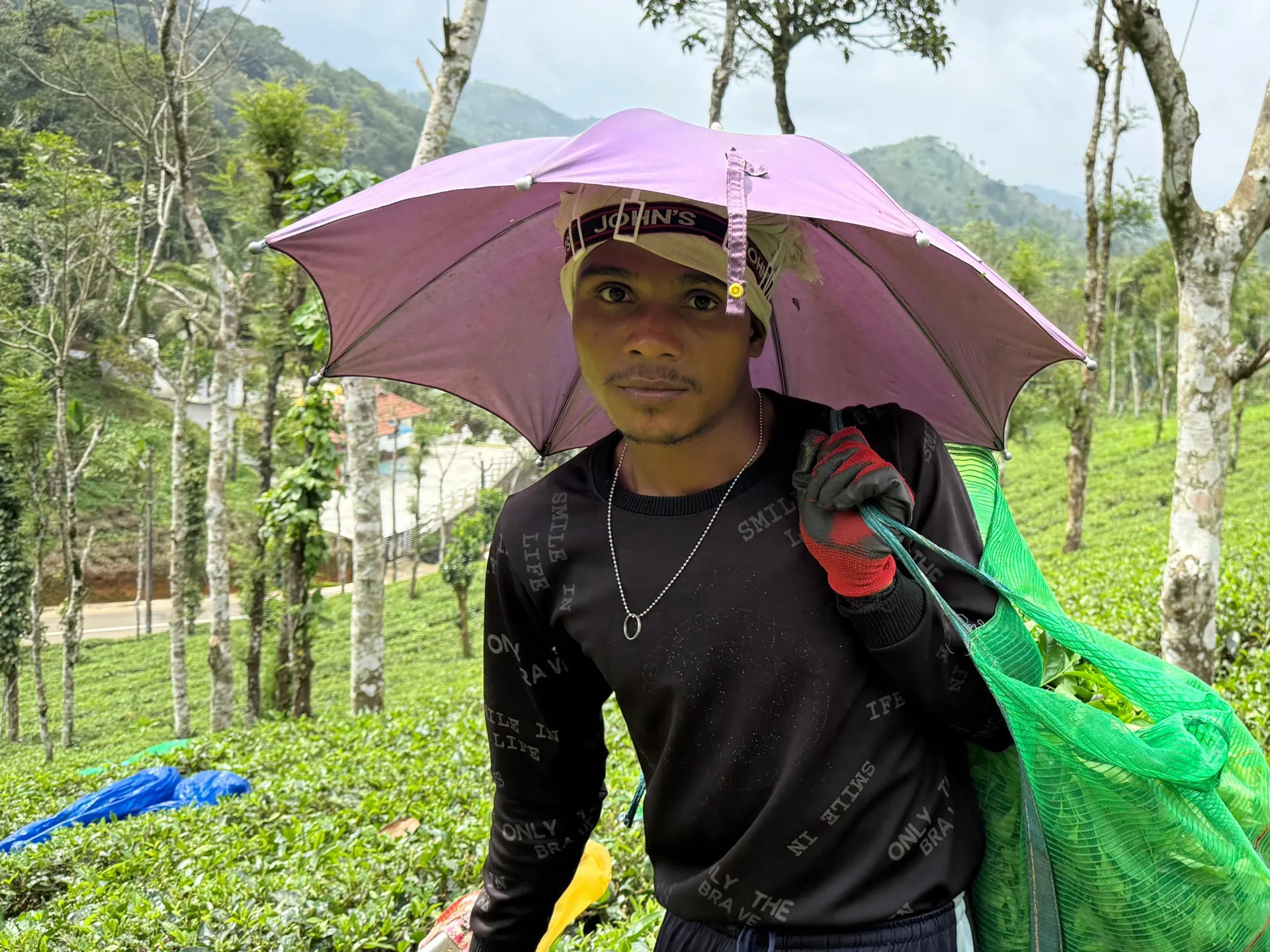 Driven by money, pushed by passion: Migrant tea pickers of Kerala, India | Agriculture