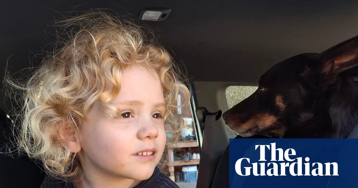Gus Lamont’s parents appeal to public for information and say ‘every moment without him is unbearable’ | South Australia