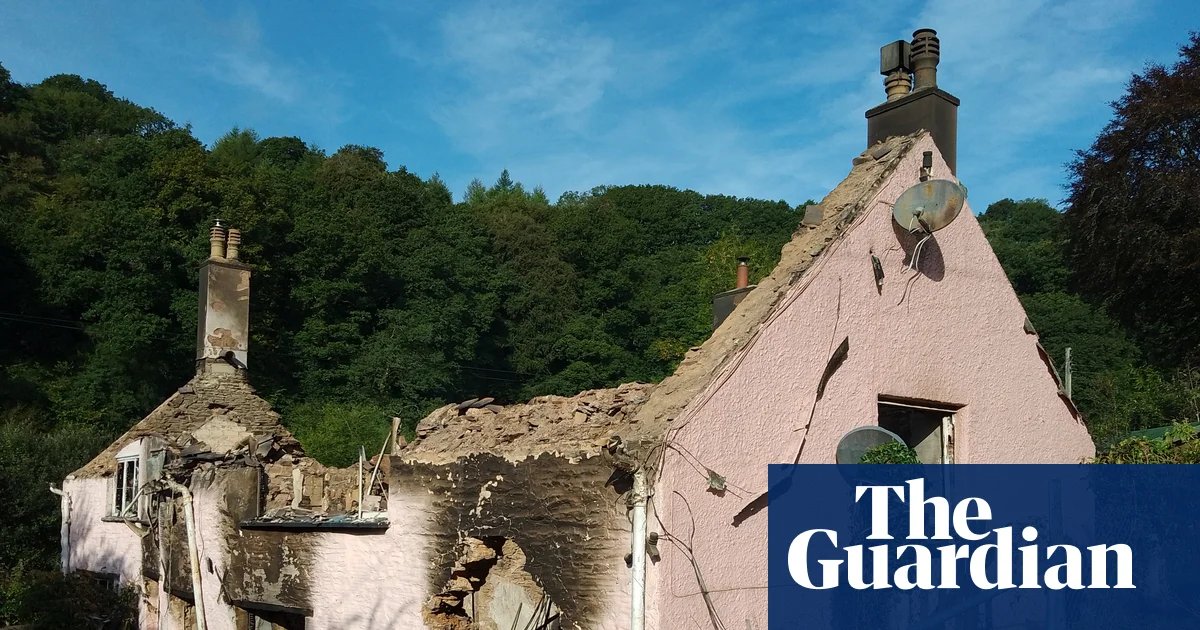 Survivor of financial abuse invited to advise ministers after Guardian report | Money