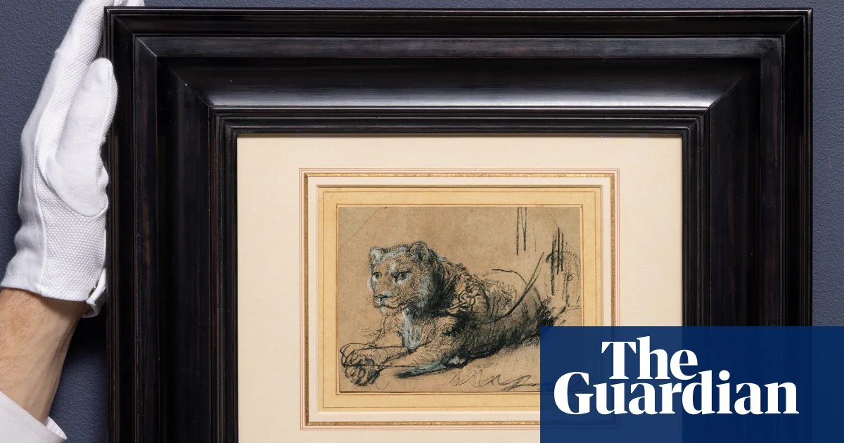 Rembrandt lion drawing raises $18m for big cat conservation at US auction | US news