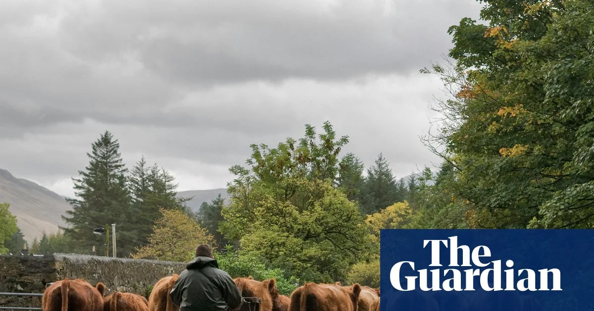 Post-Brexit sales of British farm products to EU fall by 37% | Farming